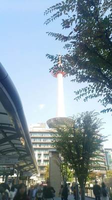 image003.jpg