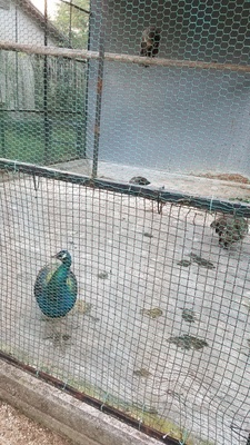 image004.jpg