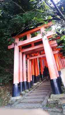 image009.jpg